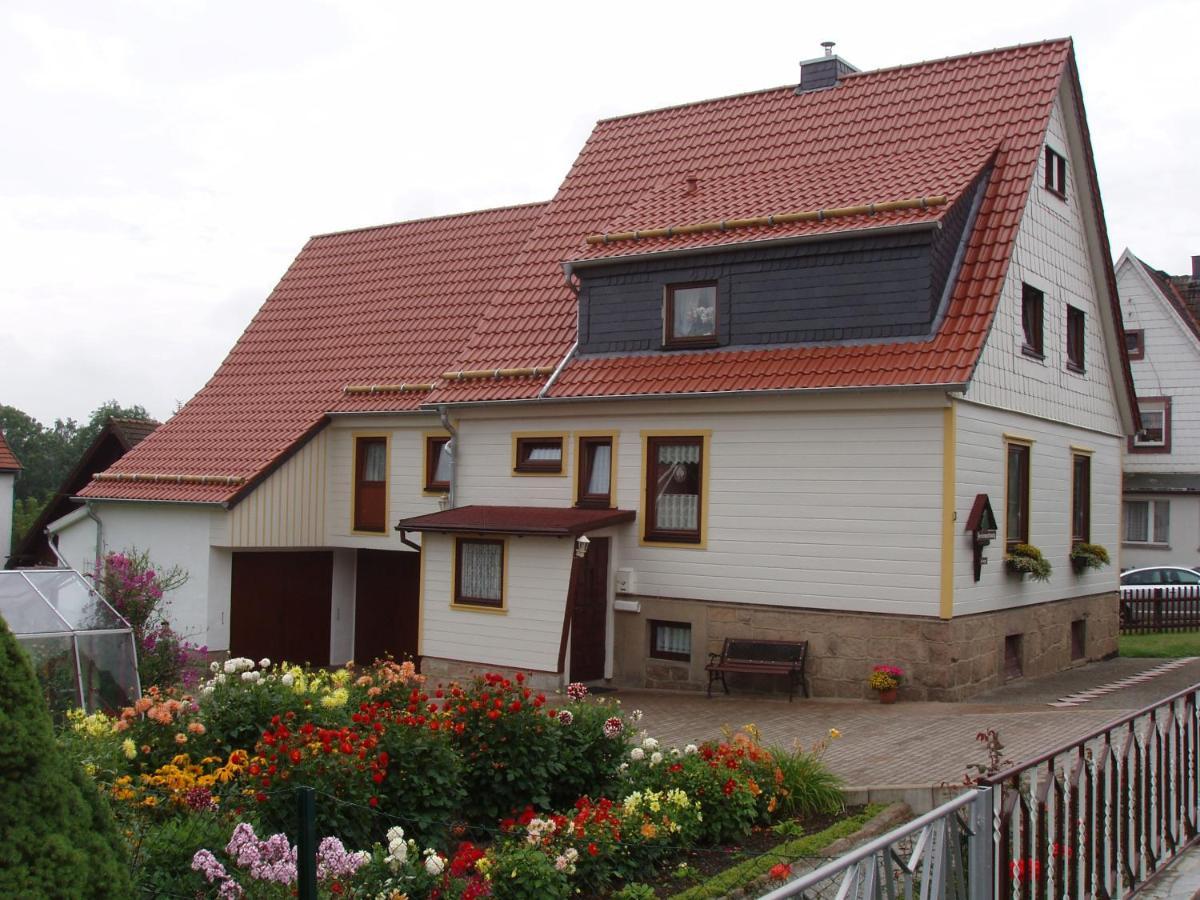 Ferienwohnungen Riessling Elend Zewnętrze zdjęcie